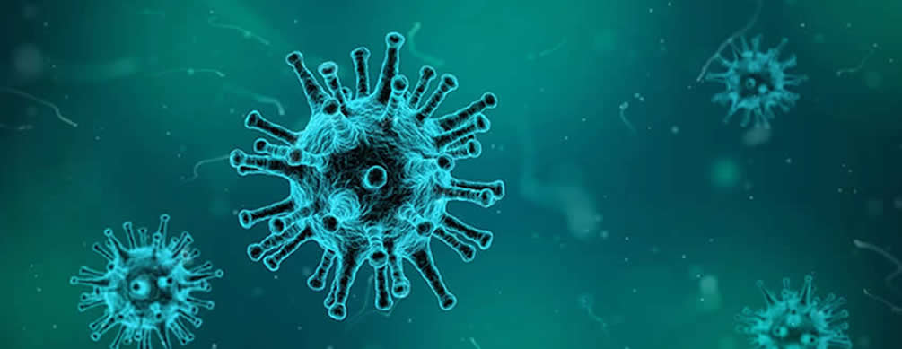 Flu Jabs